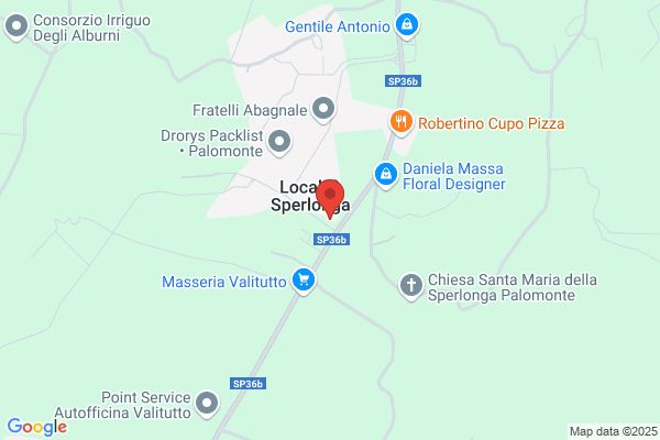 Emozioni Sposa