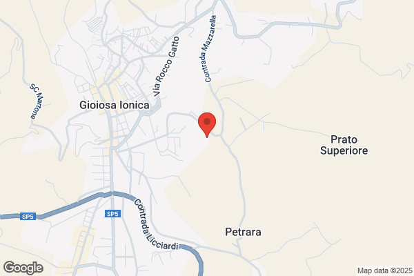 Ristorante Pizzeria Il Barone Rosso
