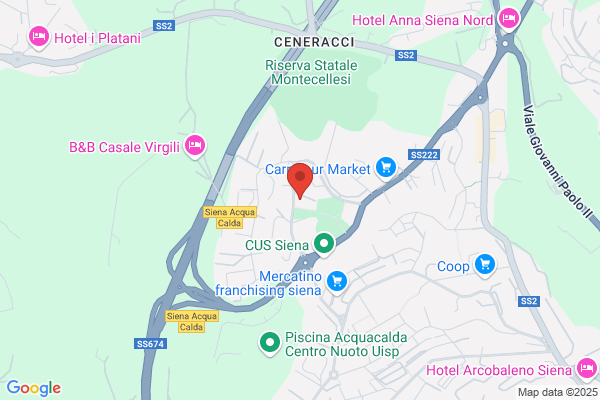 Fonte Gaia Tour T.O.