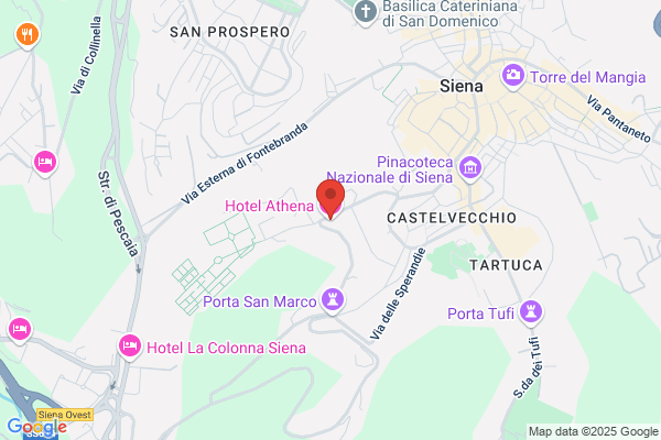 Ambulatorio Veterinario