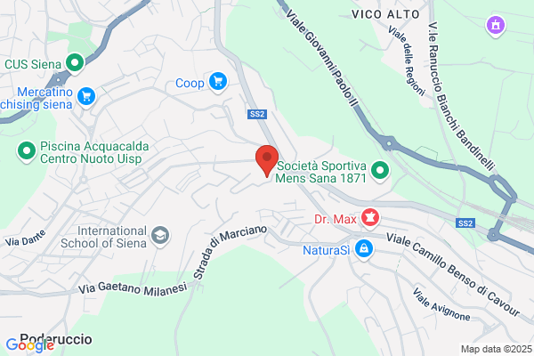 Sclavo Diagnostics International Spa