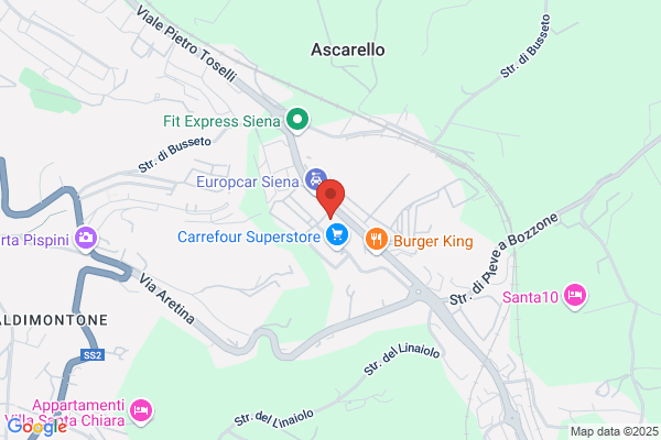 Trisciani E Pecchi Sas