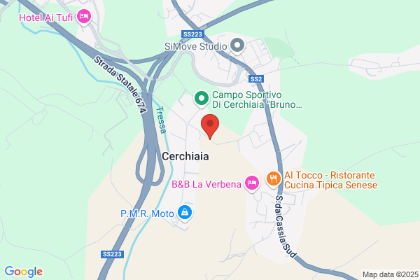 St. Comm.Le Ass. Natali C. Guerrini N. serv. Aziendali int.