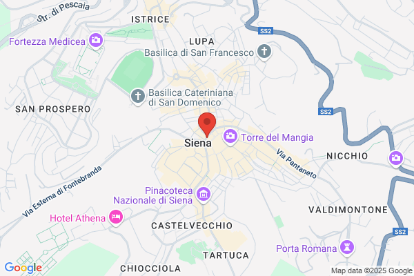 Italian Center Consultant Network Srl