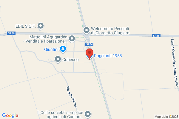Poggianti franco (Ing.)