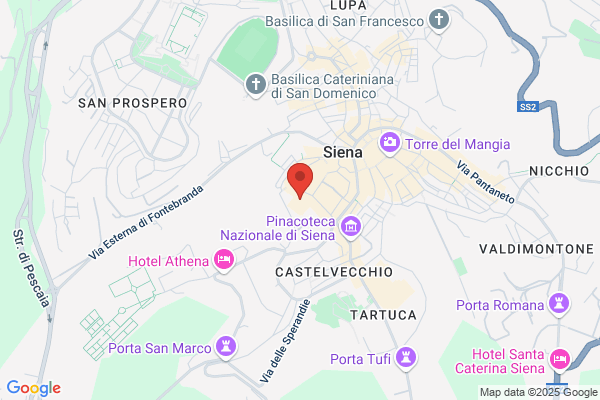 Museo Archeologico Di Siena