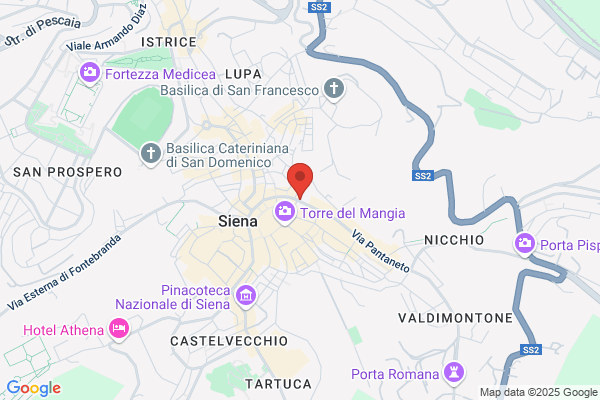 Universita Degli Studi Di Siena
