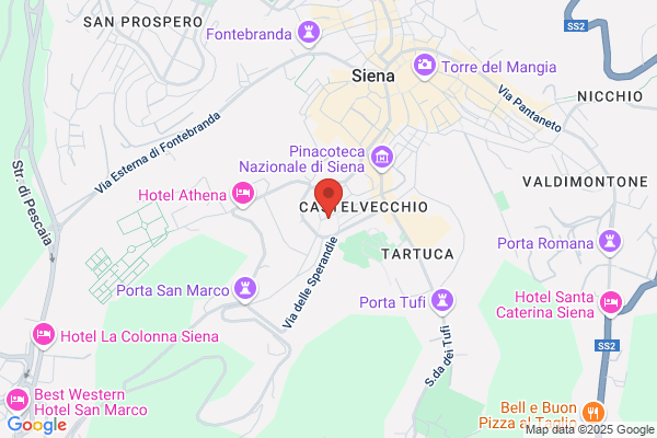Siena Lingue