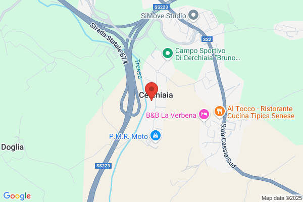 Food Service Siena Srl