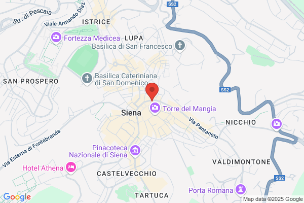 Finanziaria Senese Di Sviluppo Spa