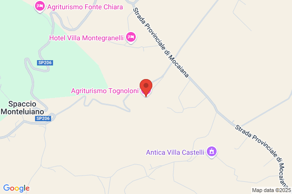 Tognoloni antonio