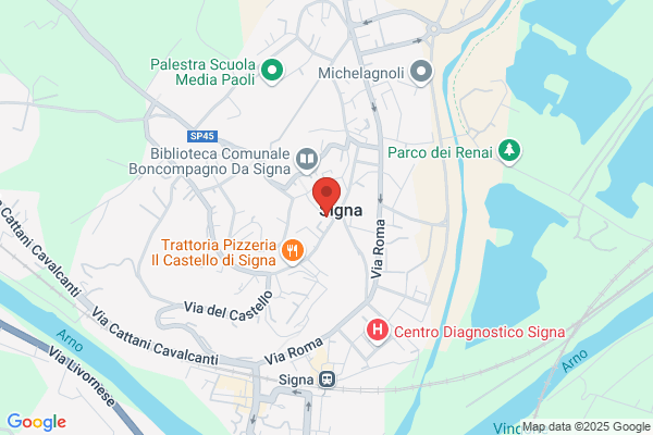 Consult Service di Fabrizio Arrigucci e C.