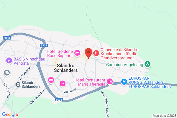 Gasthof - Pizzeria Schwarzer Adler D.Sachsalber