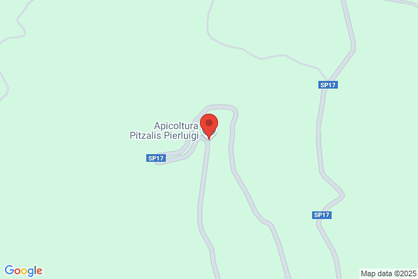Pitzalis antonietta