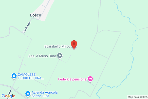 Scarabello luciano