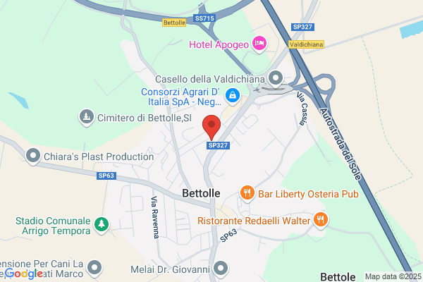 Istituto Fisioterapico Senese Snc