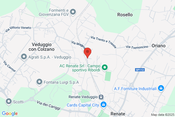 Mauri Vigano anna