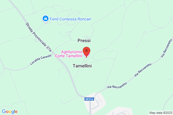Tamellini pietro