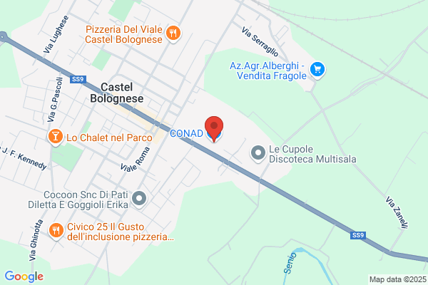 Conad Castel Bolognese