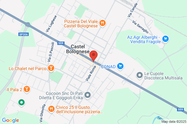 Farmacia Ghiselli Del Dott. Nicola Magnani