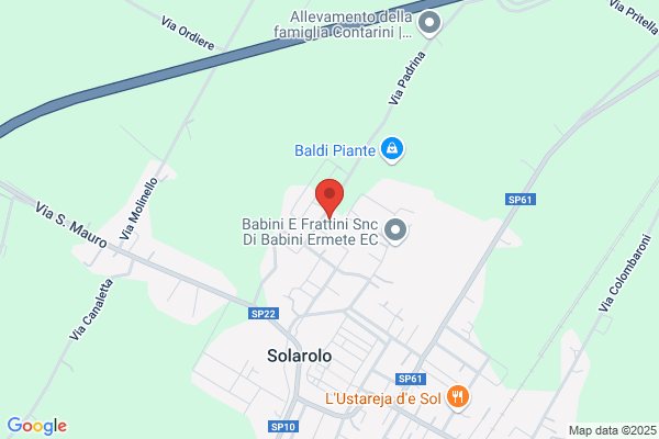 Violani luigia (Dr.)