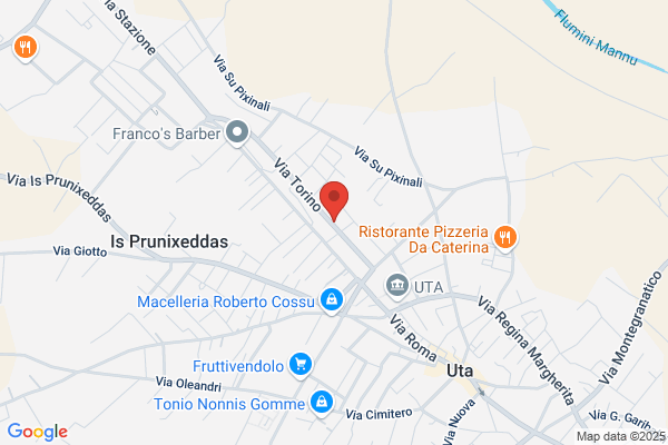 Puddu marcoluca (Dr.)
