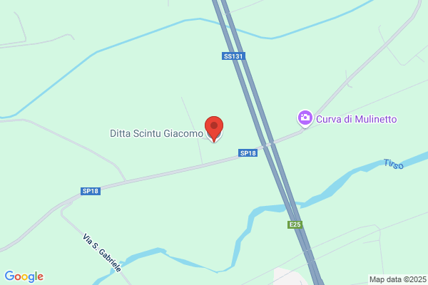 Scintu giuseppino