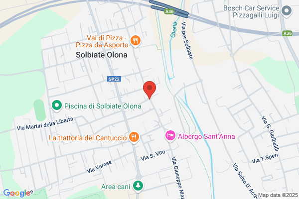Impresa Geom. G. Caprioli & C. (S.N.C.)