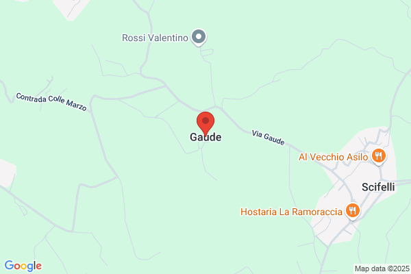 Gaude Fabio