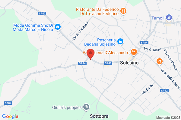 Trevisan terzio