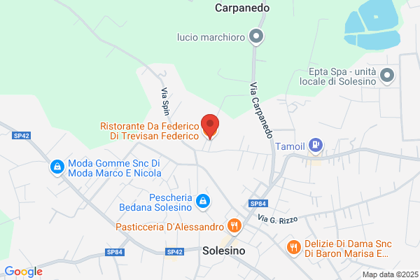 Trevisan massimo