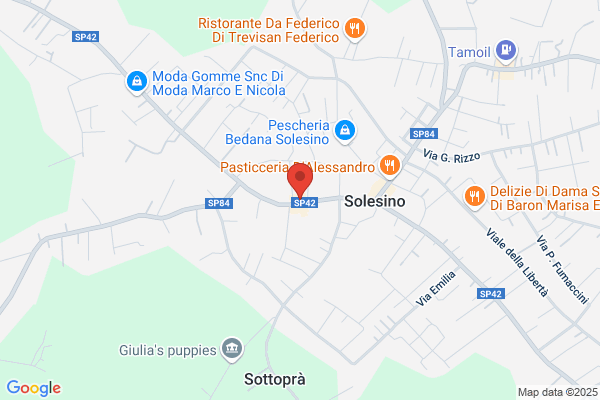 Miotto enzo