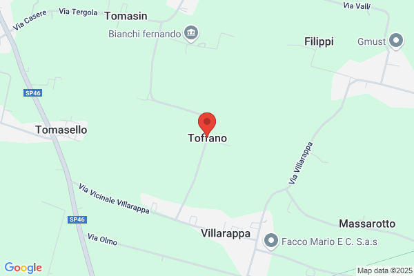 Toffano vittorio