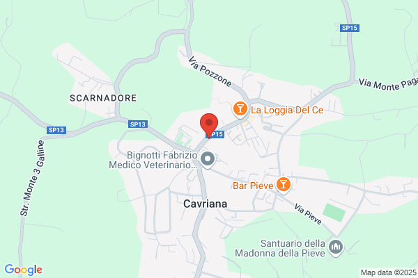 Artenatura