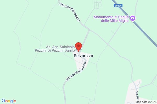 Azienda Agricola Pezzini Danilo