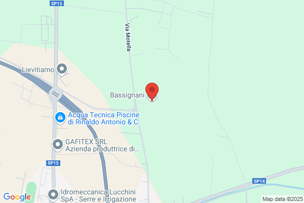 Bassignani