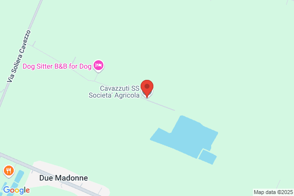 Cavazzuti S.S. Societa' Agricola