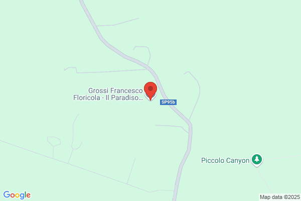 Grossi Francesco