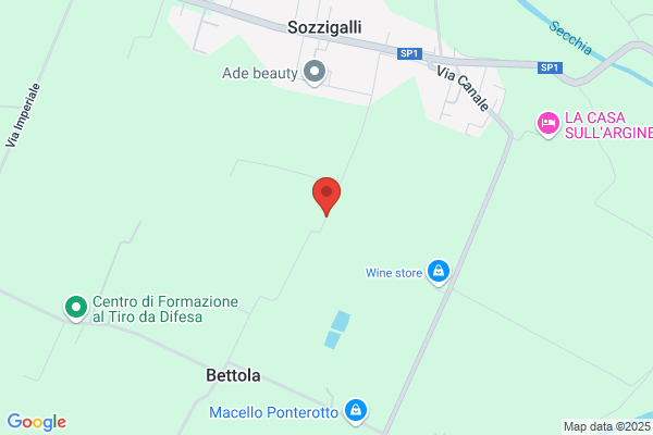 Zaccarelli domenica