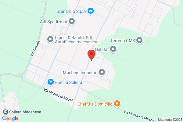 G.S.M. Di Amadei Giacomo & C. S.A.S. insigla G.S.M. Di Amadei Giacomo & C. S.A.S