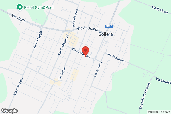 Zampaglione domenico (Dr.)