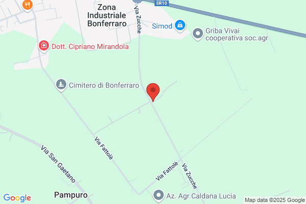 Bonvicini flavio (Dr.)
