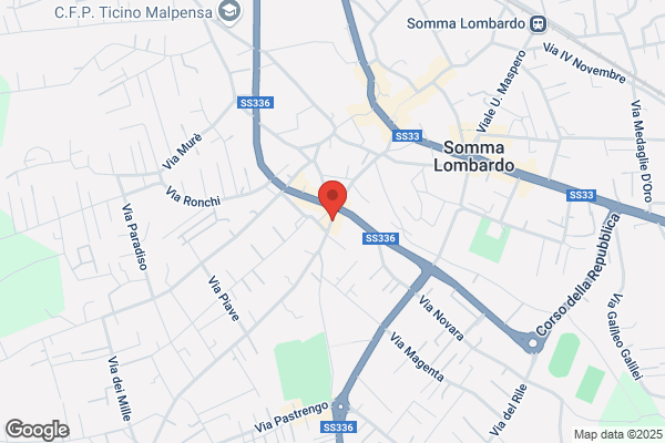 Spinello giuliano