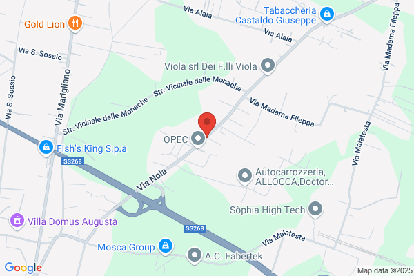 Vitiello antonio