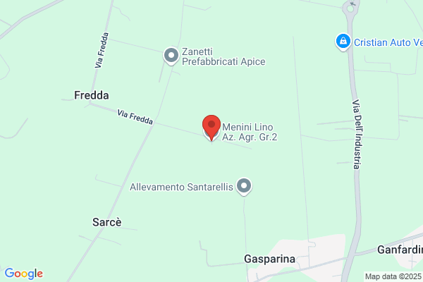 Menini angelo