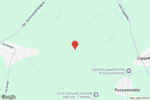 Rezzidori germano