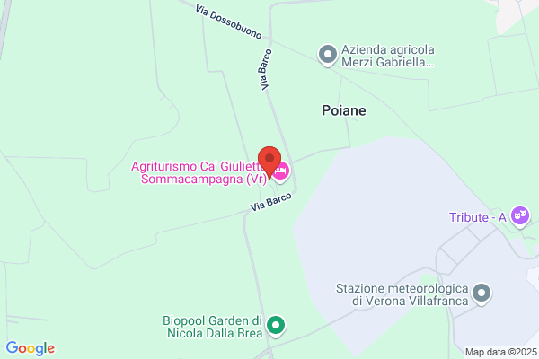 Serpelloni giovanni