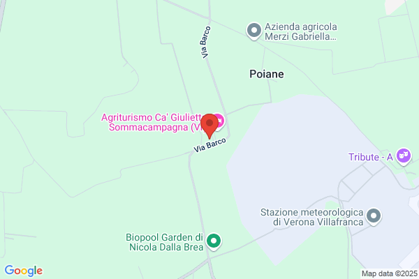 Serpelloni luigi