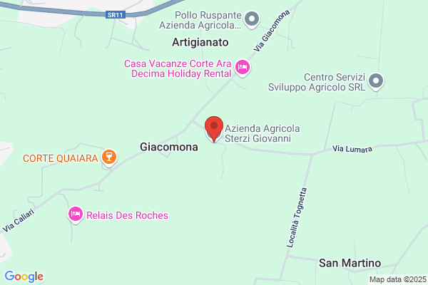 Sterzi giovanni