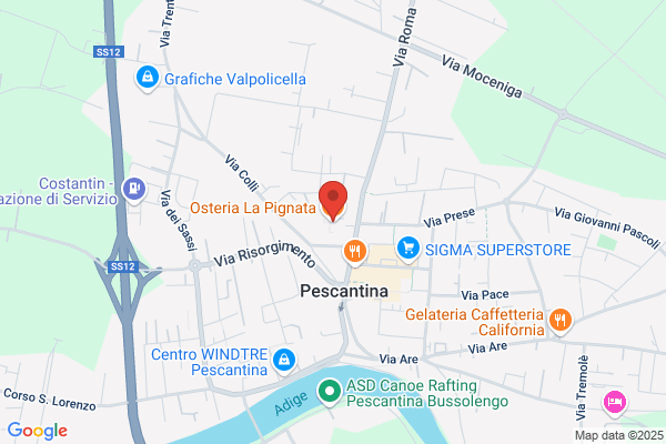 Il Pinguino Snc